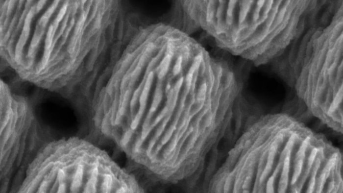 Image de microscope de textures sur une matière. 