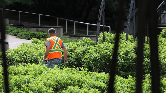 Un employé municipal arpente le jardin Jean-Paul-L'Allier.