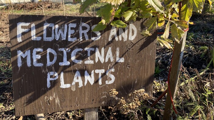 Une pancarte dans la ferme de la  l'Université de la Colombie-Britannique.oú on peut dire : fleurs et plantes médicinales.
