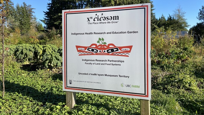 Une pancarte insérée au sol indiquant le nom complet de cette parcelle où on peut lire : xʷc̓ic̓əsəm : Indigenous Health Research and Education Garden et fait partie des projets de Partenariats de recherche autochtone de la faculté de la Terre et de la Sécurité alimentaire de l'université de Colombie-Britannique. 