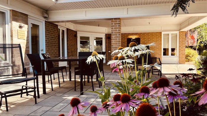 UN jardin et une terrasse.