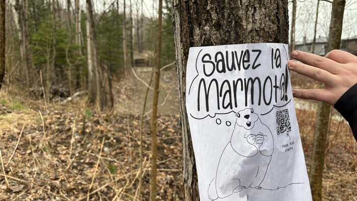 Une affiche demandant de « sauver La Marmota ».