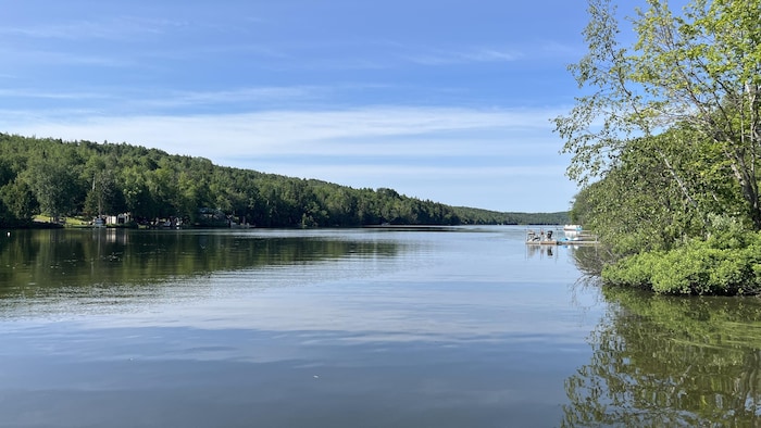 Un lac avec des habitations et de la forêt tout autour.