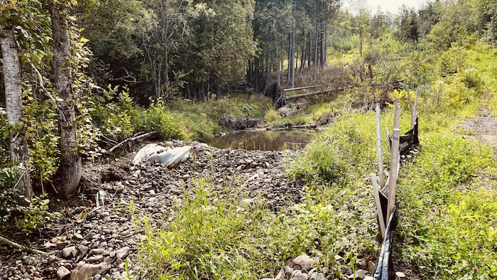 Un étang derrière un enrochement dans un milieu forestier. 