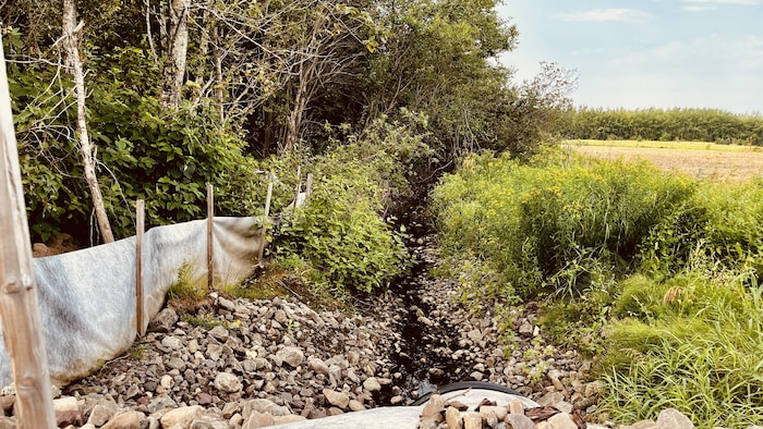 Un ruisseau que l'on a enroché et autour duquel il y a des toiles pour empêcher le déversement de sédiments. 