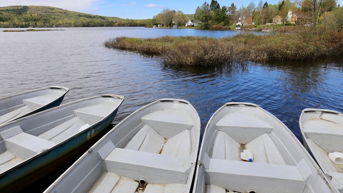 913C4688-5A2B-405C-8980-2C9444D7F866