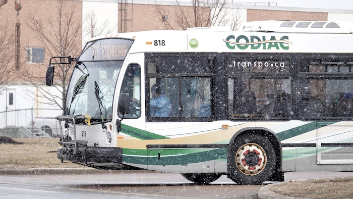 Un autobus de Codiac Transpo roule.