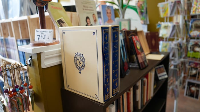 Des livres dans des filières sur une étagère.