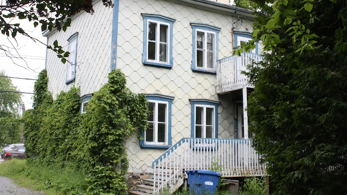 Une maison blanche entourée de végétation