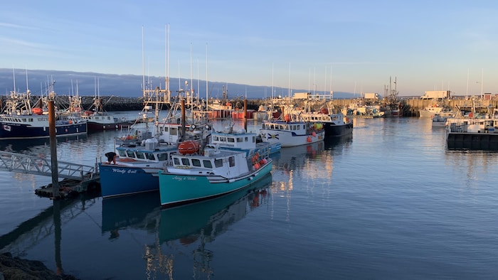 Les bateaux sont prêts à repartir en mer pour aller pêcher.
