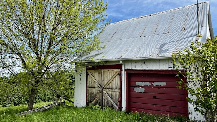 Vieux garage dans le gazon entre deux arbres.