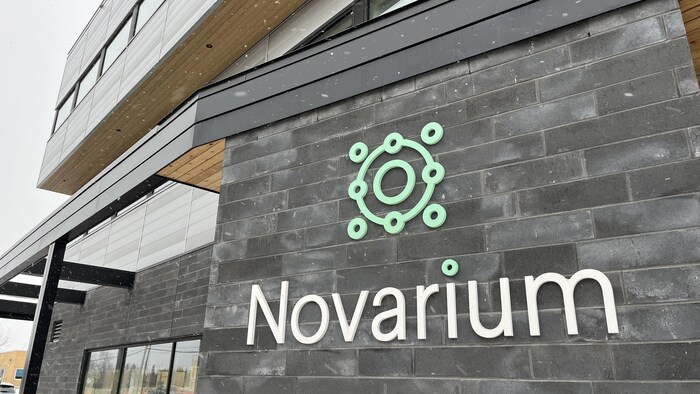 Le bâtiment Novarium.