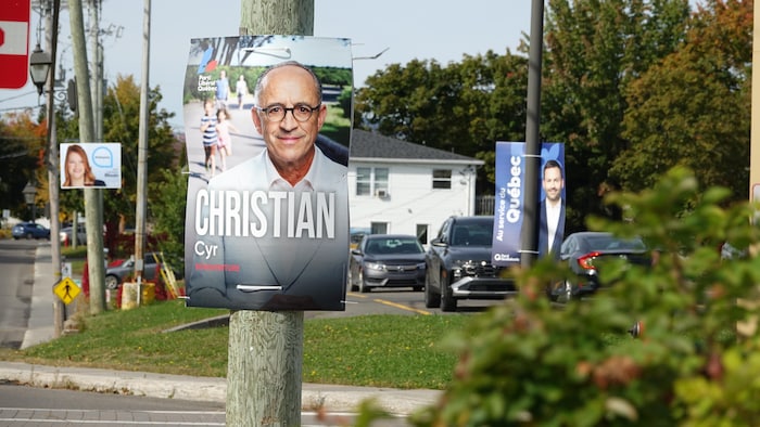 Des pancartes électorales installées sur des poteaux.