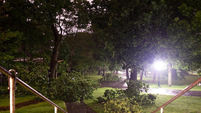 The park is strewn with many branches of broken trees and foliage scattered on grass and dirt roads. violent thunderstorms quebec: more than