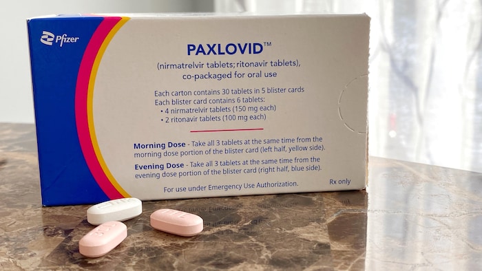 Des comprimés de l'antiviral Paxlovid de Pfizer contre la COVID-19.