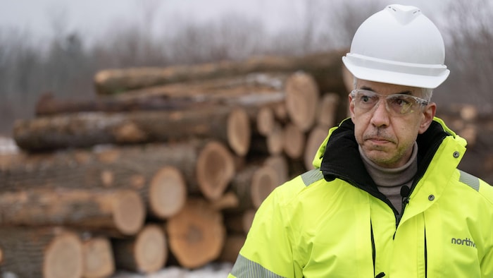 Paolo Cerruti, vêtu d'un manteau jaune arborant le logo de Northvolt, devant une pile d'arbres coupés sur le chantier.