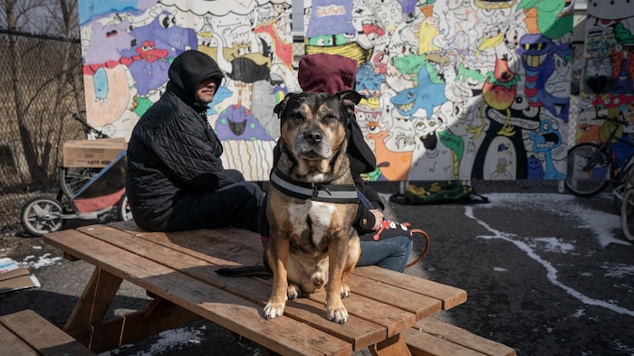 Un homme sans-abris, accompagné de son chien, est assis sur une table de pique-nique.