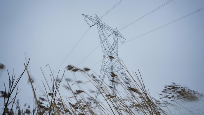 Un pylône d'Hydro-Québec vu en bordure d'une route lors d'une tempête de neige, derrière des brindilles pliées sous l'effet du vent.