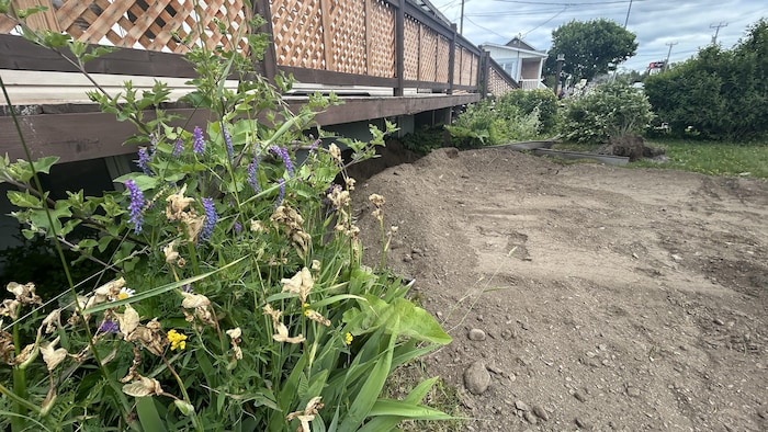 Une photo de la maison d'Annie Bérubé, des plates-bandes ont été arrachées par les travaux.