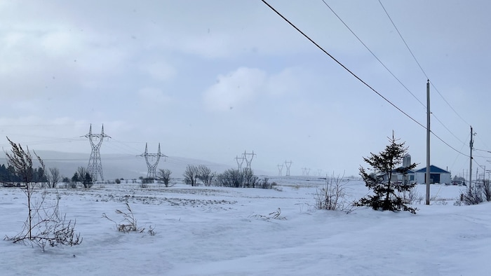 Une ligne de transport électrique dans le haut pays, dans la neige, au Bas-Saint-Laurent.
