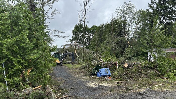 Image montrant un chemin de terre étroit à Rang-du-Lac-aux-Grelots, Courcelles et Saint-Évariste, obstrué par de nombreux arbres abattus et des branches cassées après une tempête. Un tracteur jaune et noir est visible sur la gauche, dégageant les débris. Au centre, une poubelle verte et une poubelle bleue sont renversées. À l'arrière-plan, des maisons et d'autres arbres, dont certains sont également endommagés, se distinguent sous un ciel couvert.