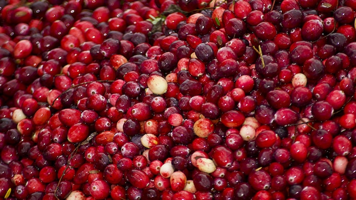 la-canneberge-un-fruit-festif-et-aux-multiples-utilisations-radio
