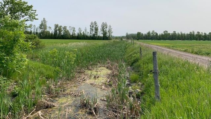 L'eau stagnait dans le ruisseau avant le projet de renaturalisation.