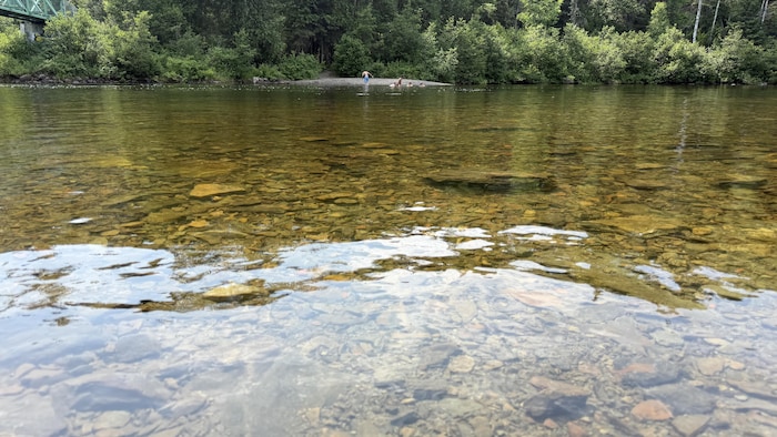Des baigneurs dans la rivière Rimouski, dans le secteur du dynamo.