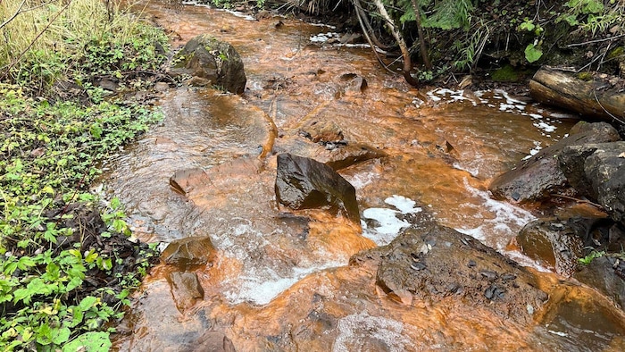 Le ruisseau de la Cavée, de couleur orangée.