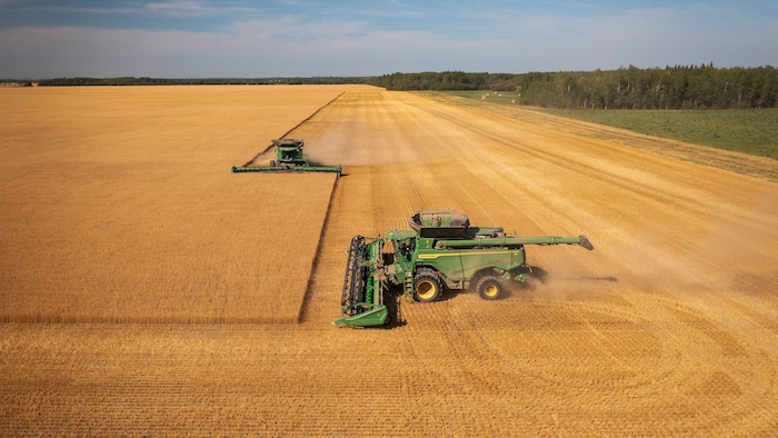 Un tracteur dans un champ.