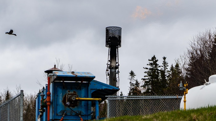 Le brûlage du gaz par une torchère. 