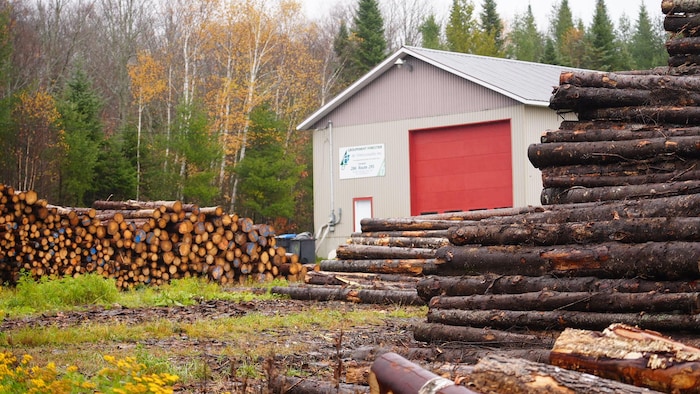 Le bâtiment du Groupement forestier est entouré de troncs d'arbres.
