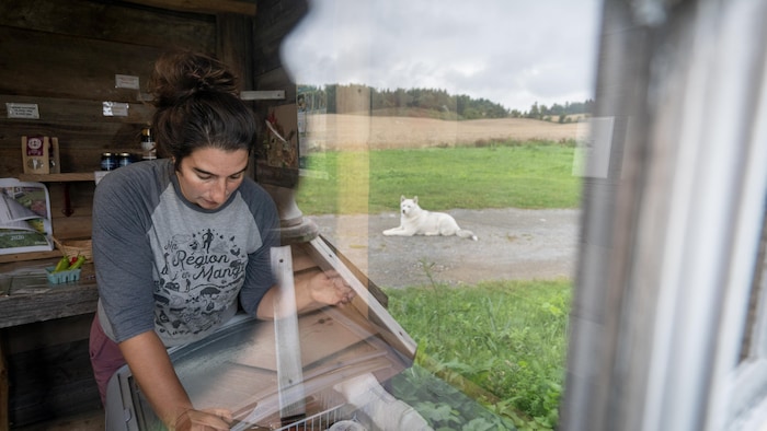 Émilise et son chien, dans le reflet de la fenêtre.