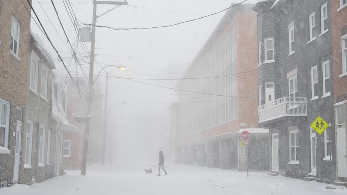 Tempête hivernale : des écoles annoncent déjà leur fermeture | Radio-Canada