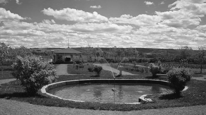 Une fontaine avec une pergola et des arbres.