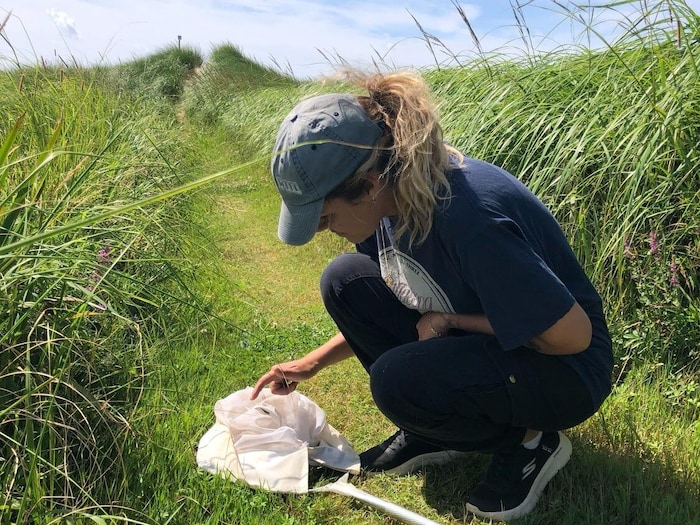Rachelle Gagnon est accroupie dans de hautes herbes en train de vérifier son filet.