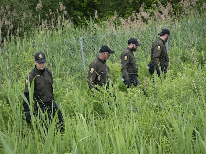 Des policiers de la SQ ratissent boisés et terrains agricoles en Montérégie pour retrouver Claire Bell.