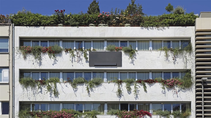 Immeuble dont le toit et les balcons sont recouverts de plantes.