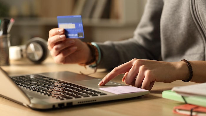 Une personne s'apprête à faire un paiement sur Internet grâce à son ordinateur.