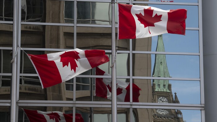 Canadian flags fly near Parliament Hill in Ottawa,  Tuesday, June 30, 2020. THE CANADIAN PRESS/Adrian Wyld