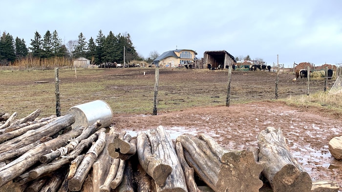 Un enclos avec une maison à l'arrière plan.