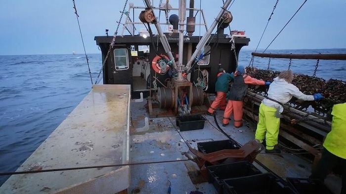 Un équipage de pêcheurs sur un pont.