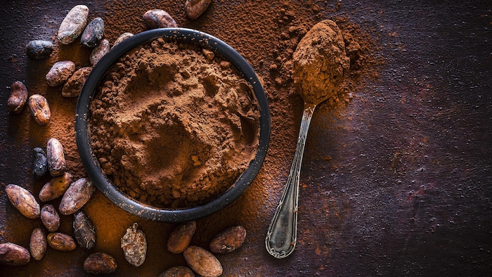 De la poudre de cacao.