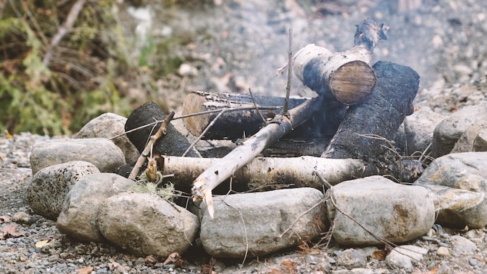 Un feu de camp en forêt éteint.