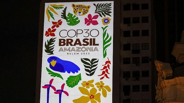 Une affiche de la COP30, montrant des espèces animales et végétales.