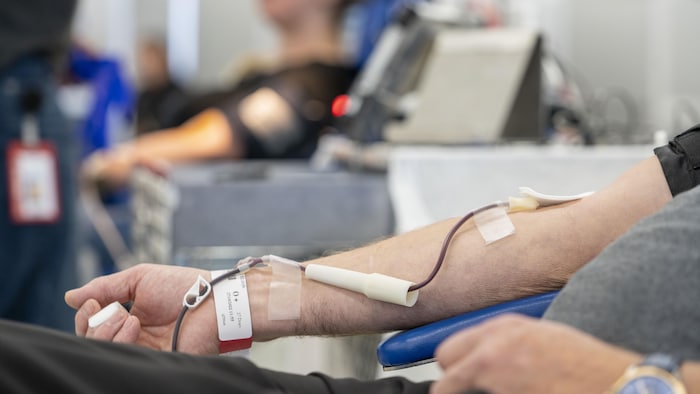 Portrait de donneurs de sang à Montréal (Canada) : typologie en
