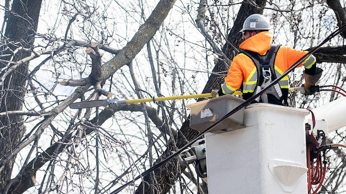 Un travailleur d'Hydro-Québec dans une nacelle coupe des branches autour d'une ligne électrique à la suite d'une tempête de verglas à Montréal, le 7 avril 2023.