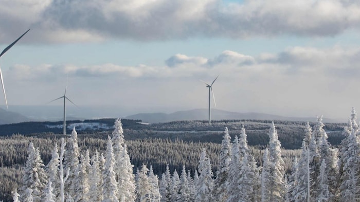 Des éoliennes dans un décor hivernal.