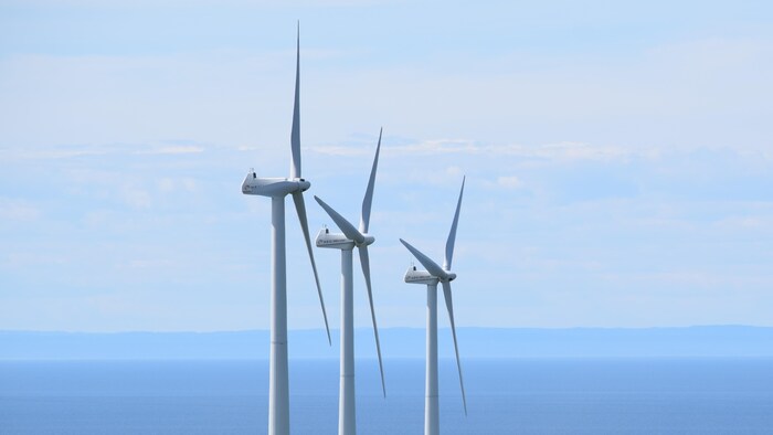 Trois éoliennes sur le bord d'un fleuve.