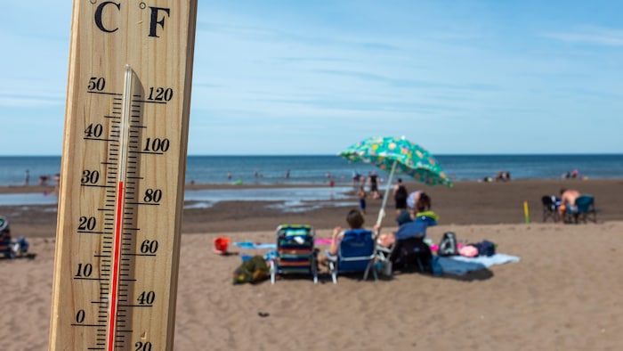 Vue rapprochée d'un thermomètre indiquant 31 degrés Celsius et en arrière-plan des gens sur une plage.